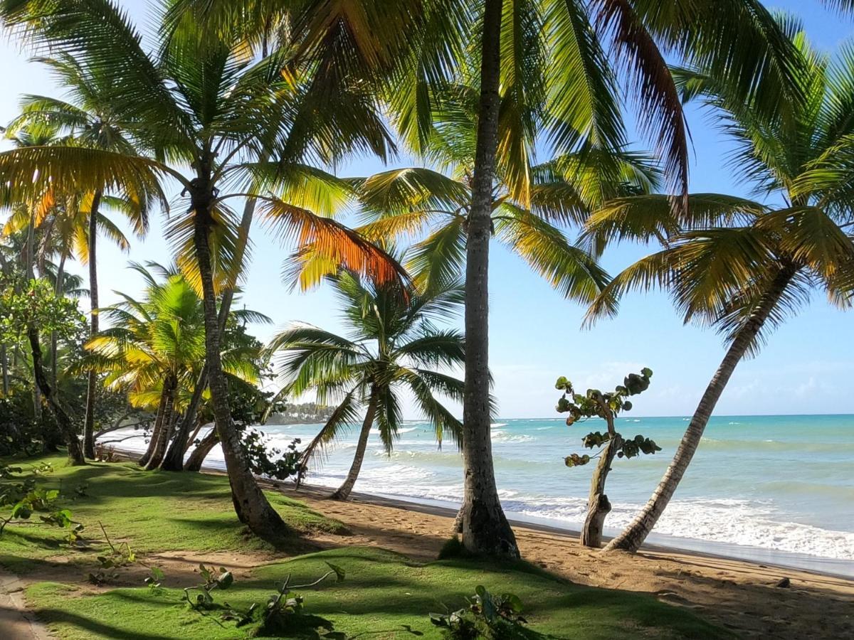 Hotel Bahia Punta Bonita Лас Теренас Екстериор снимка